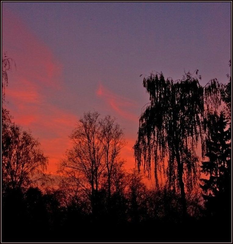 закат, силуэты, осень Силуэты осениphoto preview