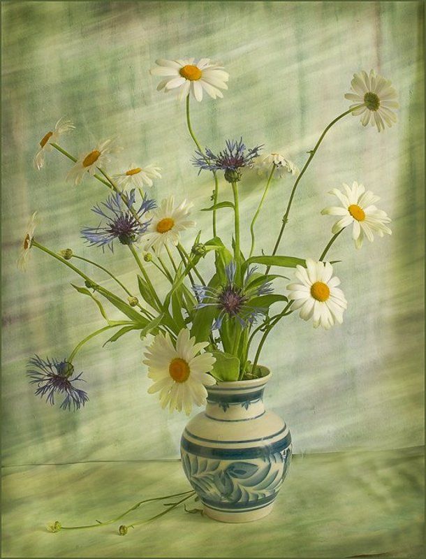 Ромашковыйphoto preview