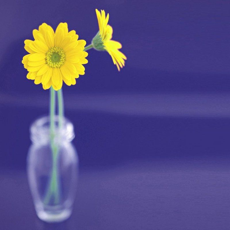 антон шешницан, www.ostudios.ru F= 1/1.2photo preview