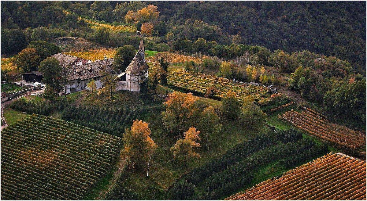 осень, Нетушки