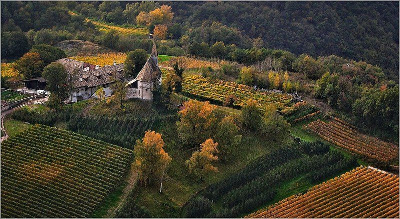 Натуральное хозяйствоphoto preview