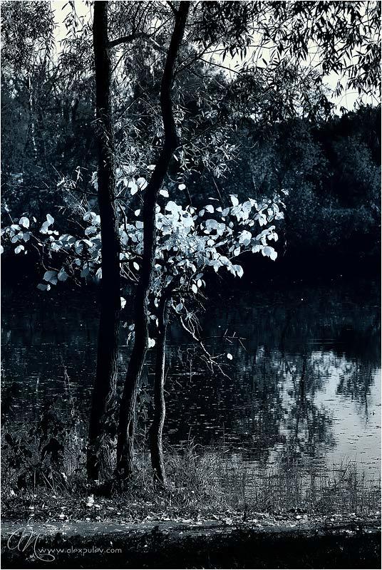 природа Посвящено Felicia Sandanato из Монако ...photo preview