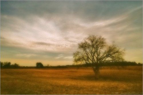 Alone...