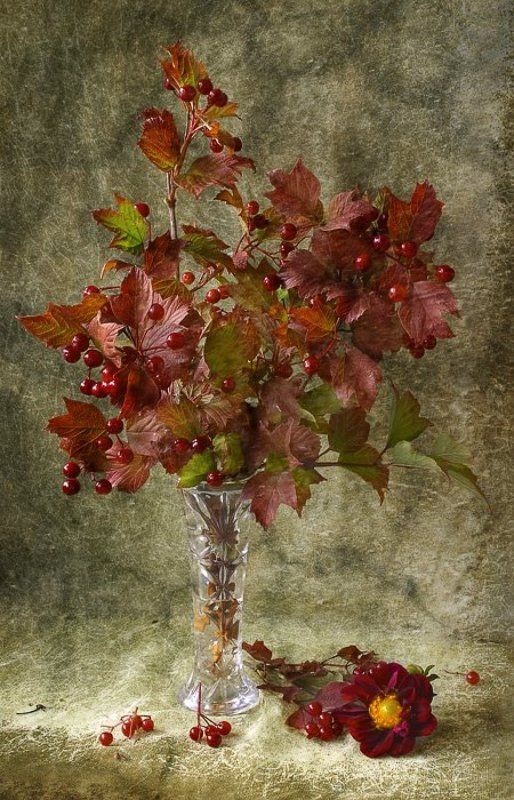 Калиновыйphoto preview