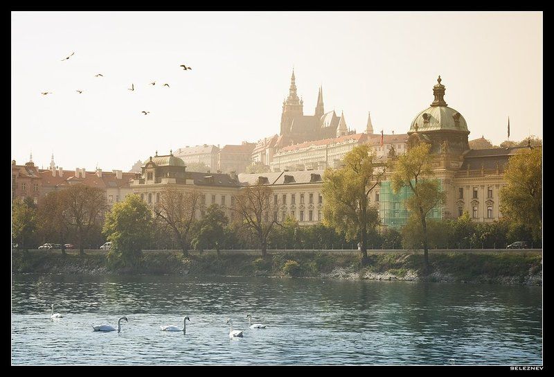 прага, чехия Prague #11photo preview