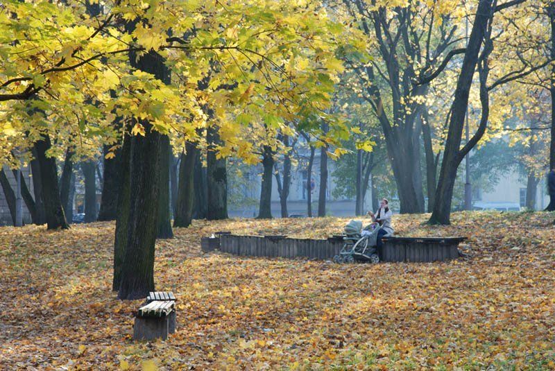 парк, осень, клёпа. ...за то прозрачней свет...photo preview