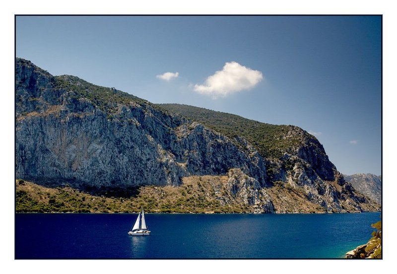 turkey ***photo preview