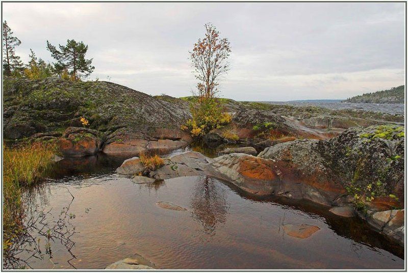 Яркие краски осениphoto preview