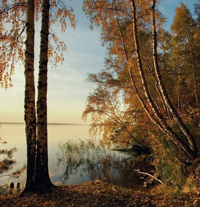 , Владимир Липецких