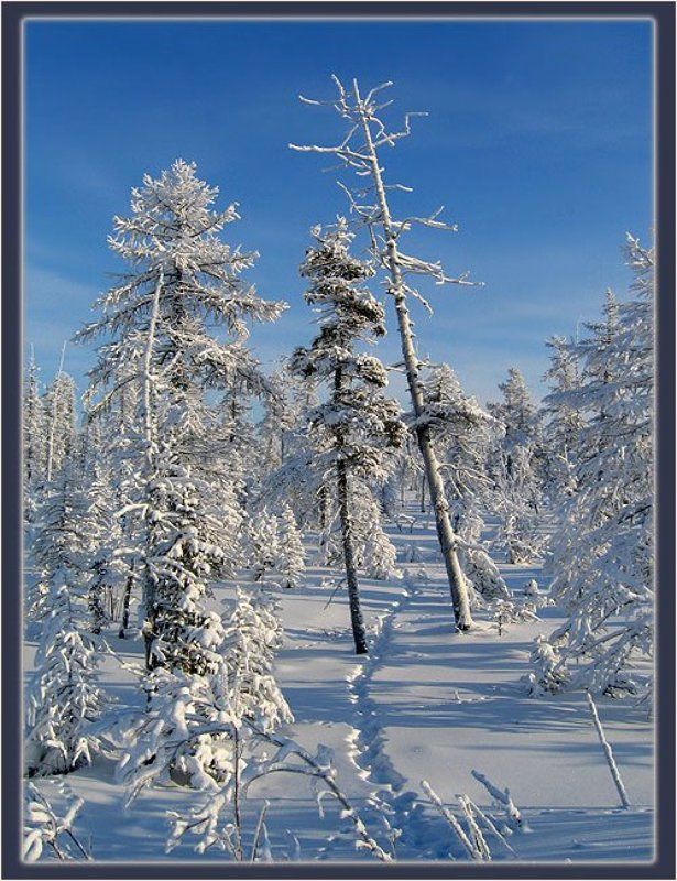 Заячья тропаphoto preview