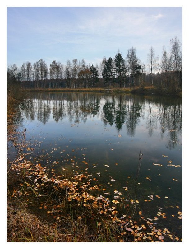 осени россыпь...photo preview