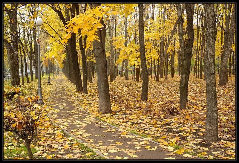 осень, петровский парк Дас Хербст 2photo preview