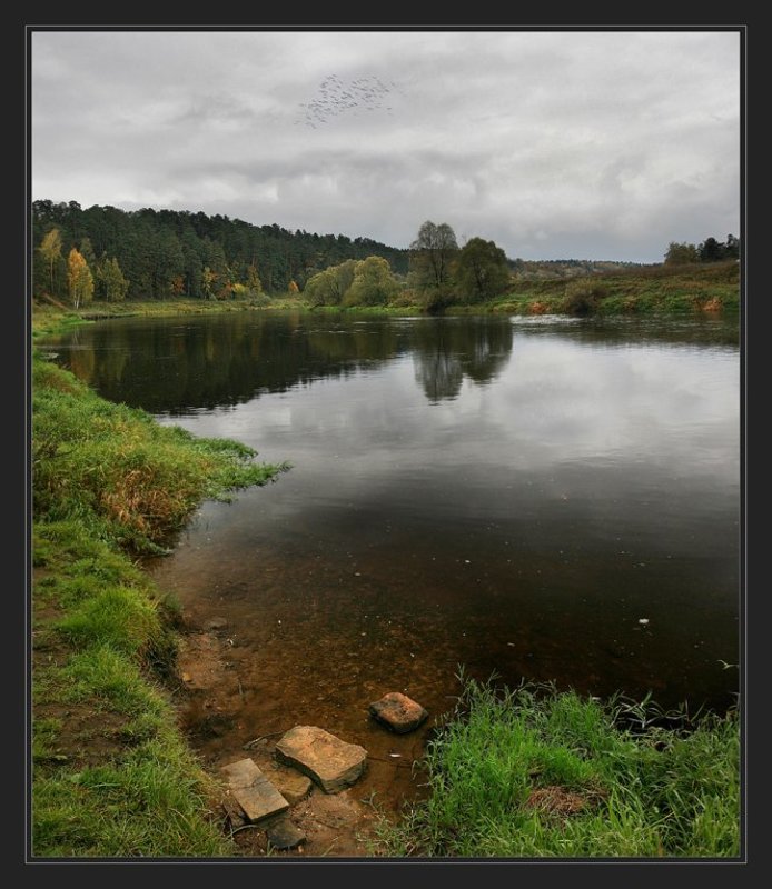 autumn..photo preview