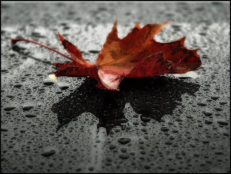 В дождливую осеньphoto preview