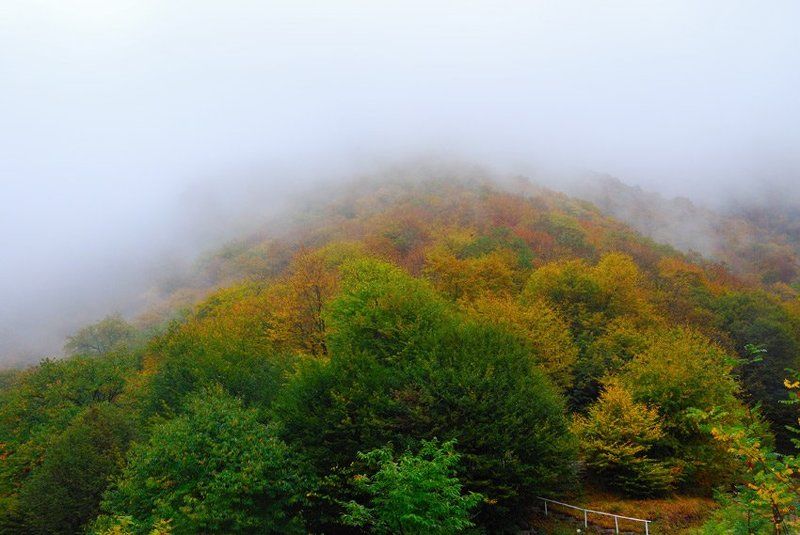 азербайджан, кавказ, туман, горы В горах туманphoto preview