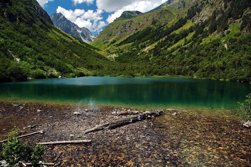 кавказ, бадук ***photo preview