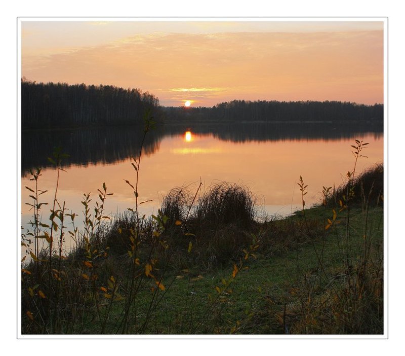 gold autumn..photo preview