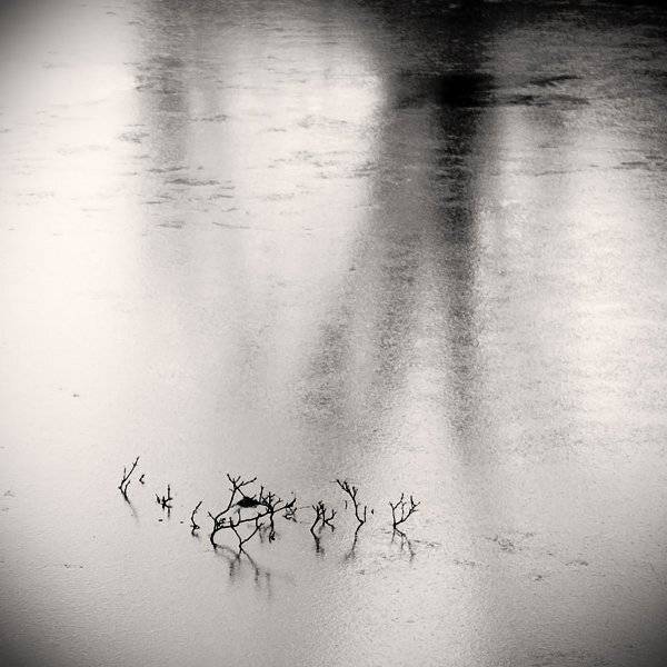 , Дмитрий Плотникофф