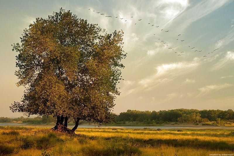 Утро Августаphoto preview