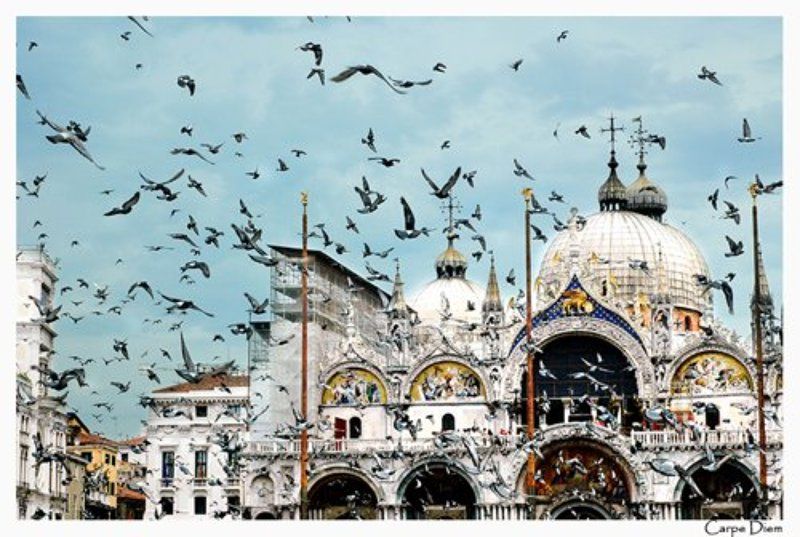 италия, венеция, площадь сан марко, голуби небо Венецииphoto preview