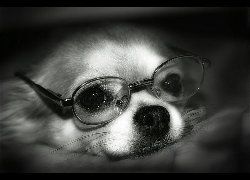 Мечтыphoto preview