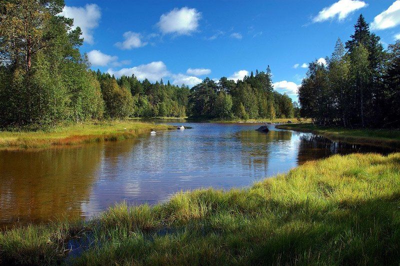карелия ***photo preview