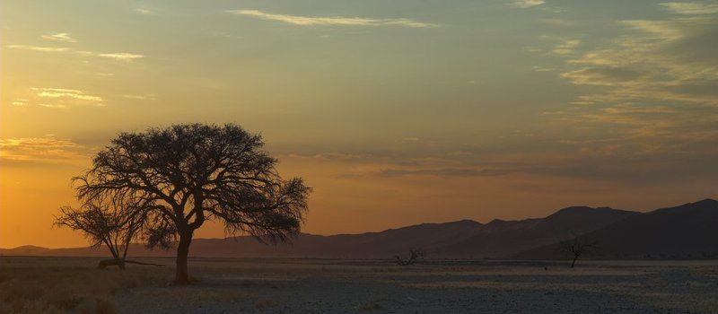 намиб,намибия,пустыня Намибphoto preview