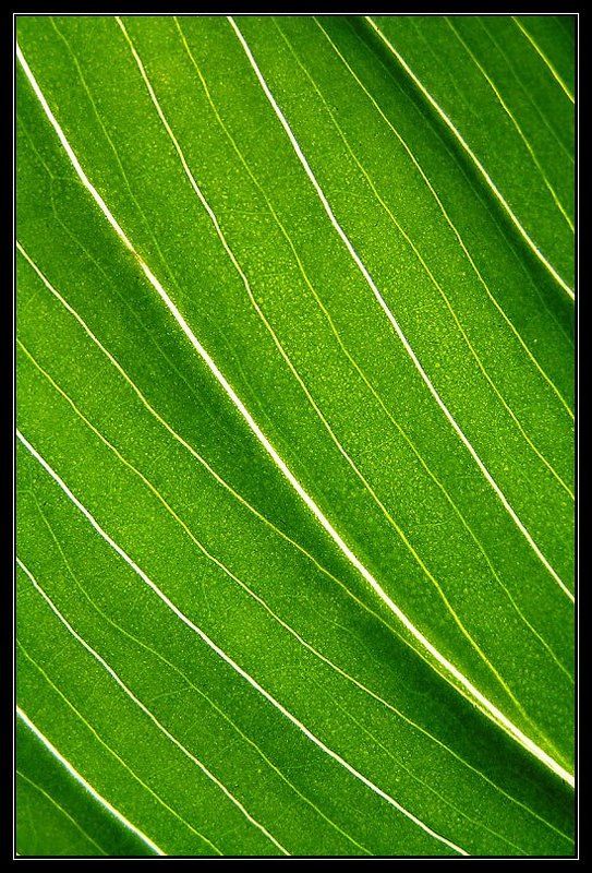 no namephoto preview