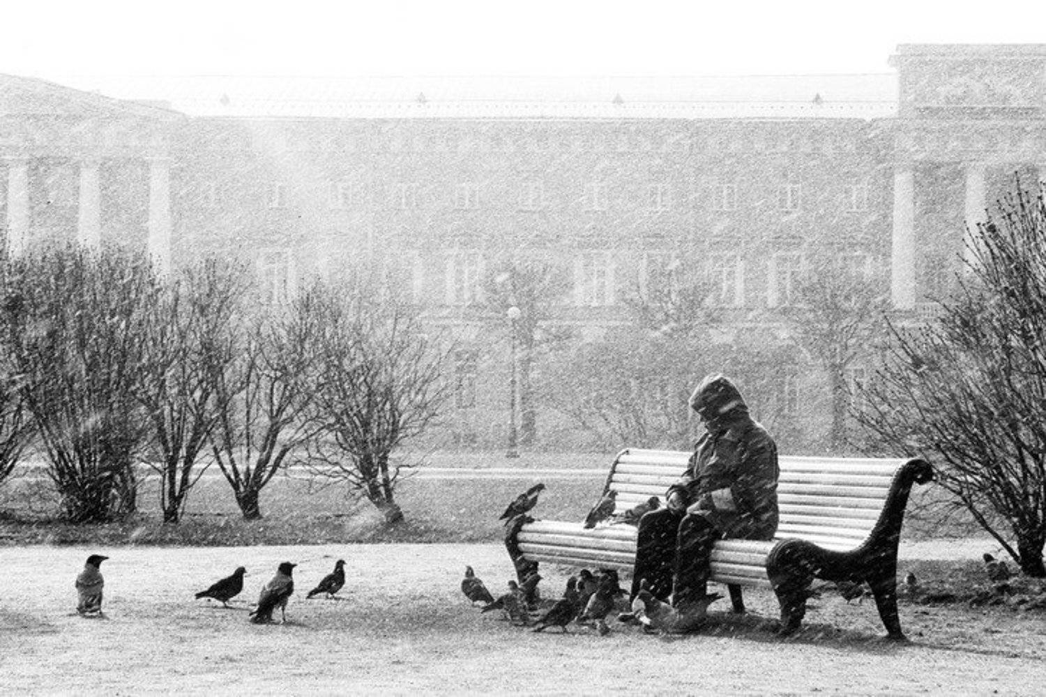 , Денис Хоменков