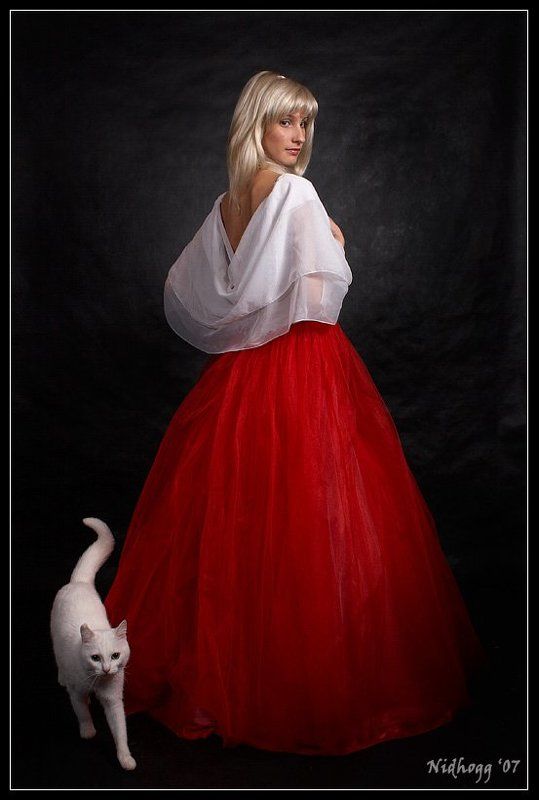 Кошки...photo preview