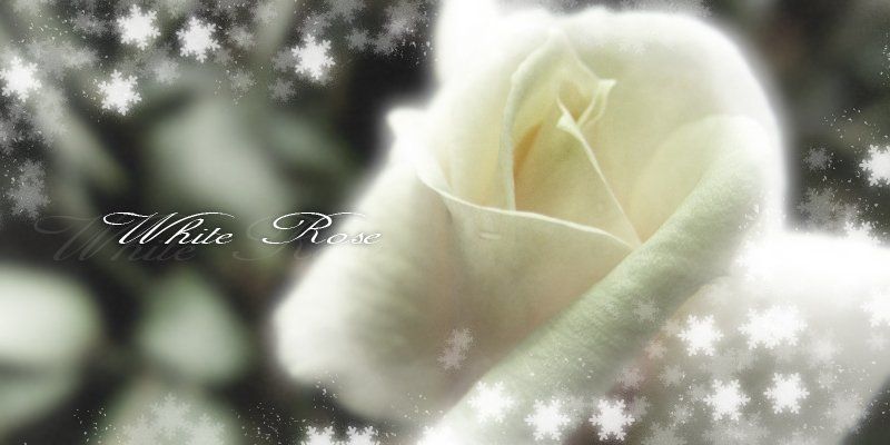 просто такphoto preview