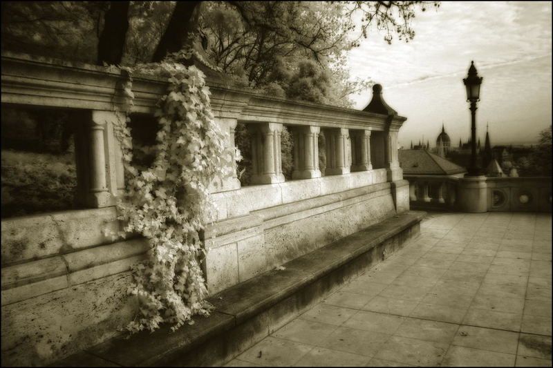 infrared derden инфракрасная венгрия infrared hungaryphoto preview