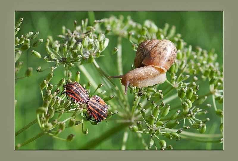 А чо это вы тут делаете?photo preview