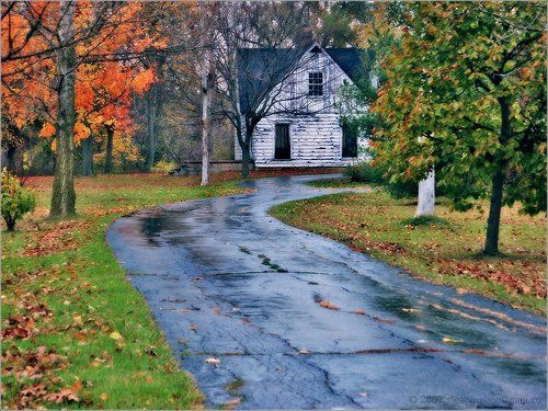 Alone in fall...