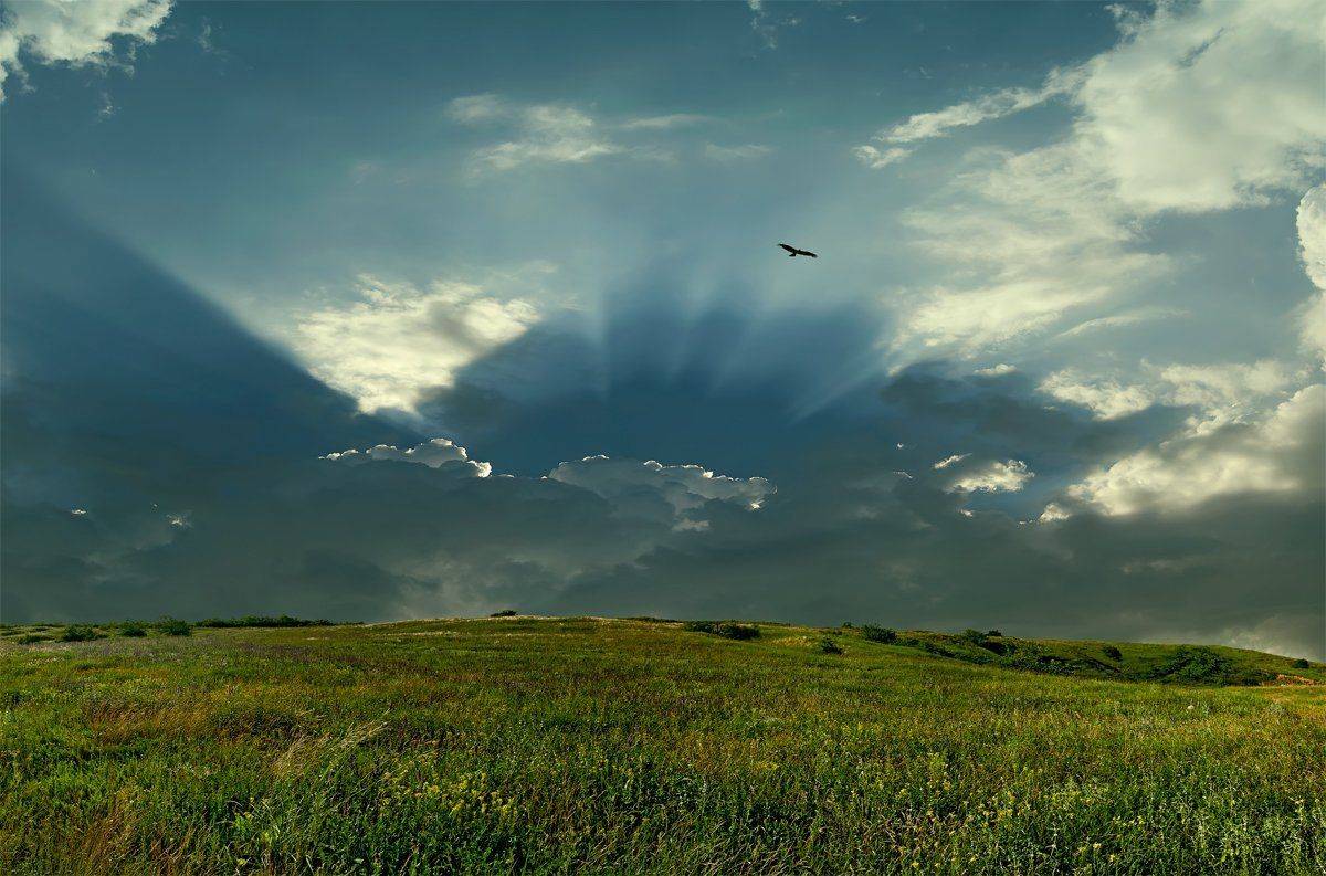 Воля. Автор: Сергей Иванов , Сергей Иванов