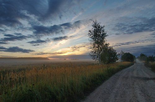 Утро в Сельце