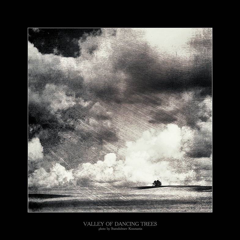 , Константин Стародубцев