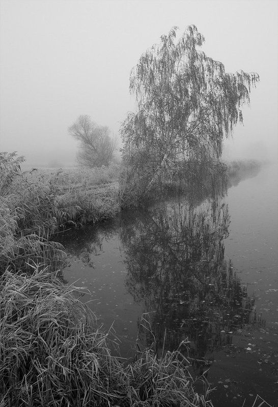 Собой любуясьphoto preview