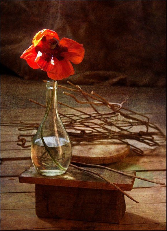 мак, красный С макомphoto preview