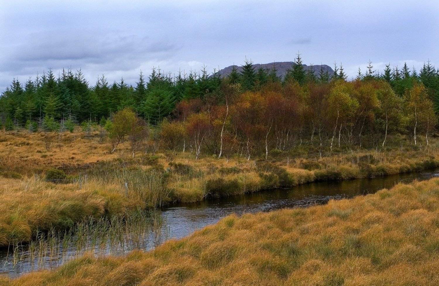 Болота Коннемары. Автор: Екатерина Богданова болото, осень, коннемара, ирландия, Екатерина Богданова