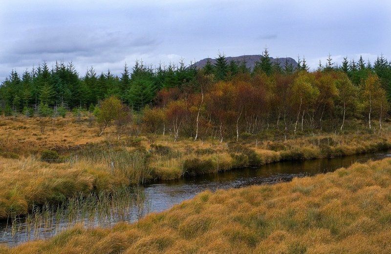 болото, осень, коннемара, ирландия Болота Коннемарыphoto preview