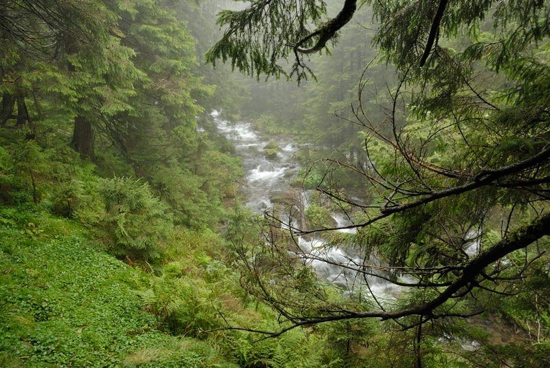 влажностьphoto preview