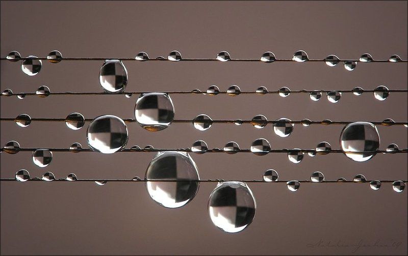 drop, water, air, капля, вода, воздух, natalia, jeshoa art-macro T a x i B l u e sphoto preview