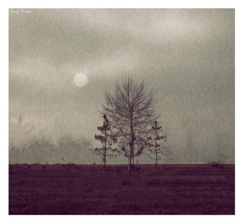 с берега ветер принес ..photo preview