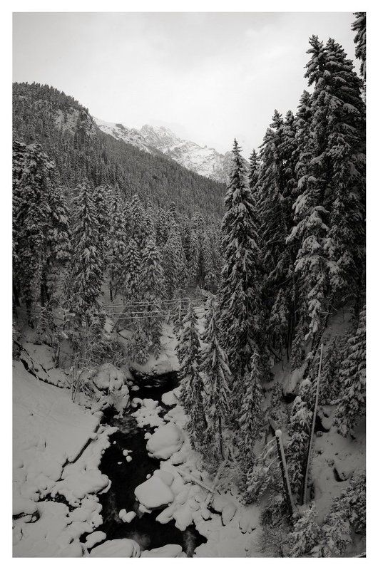 домбай, горы Снежный Домбай ... (ч\\б)photo preview