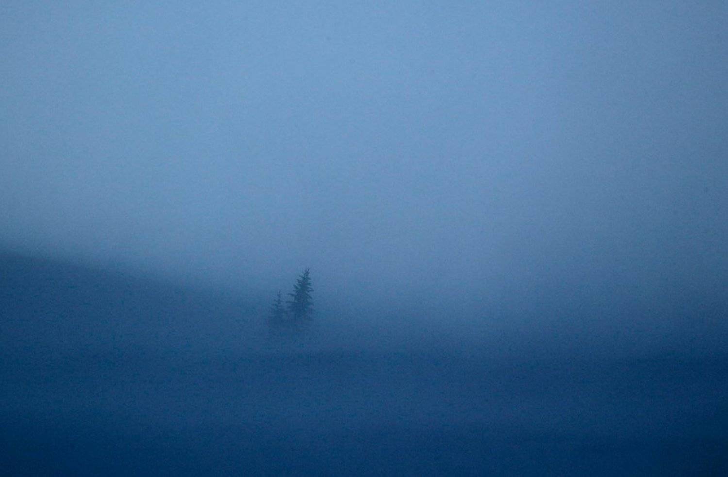 Непогода. Автор: Максим Костин , Максим Костин