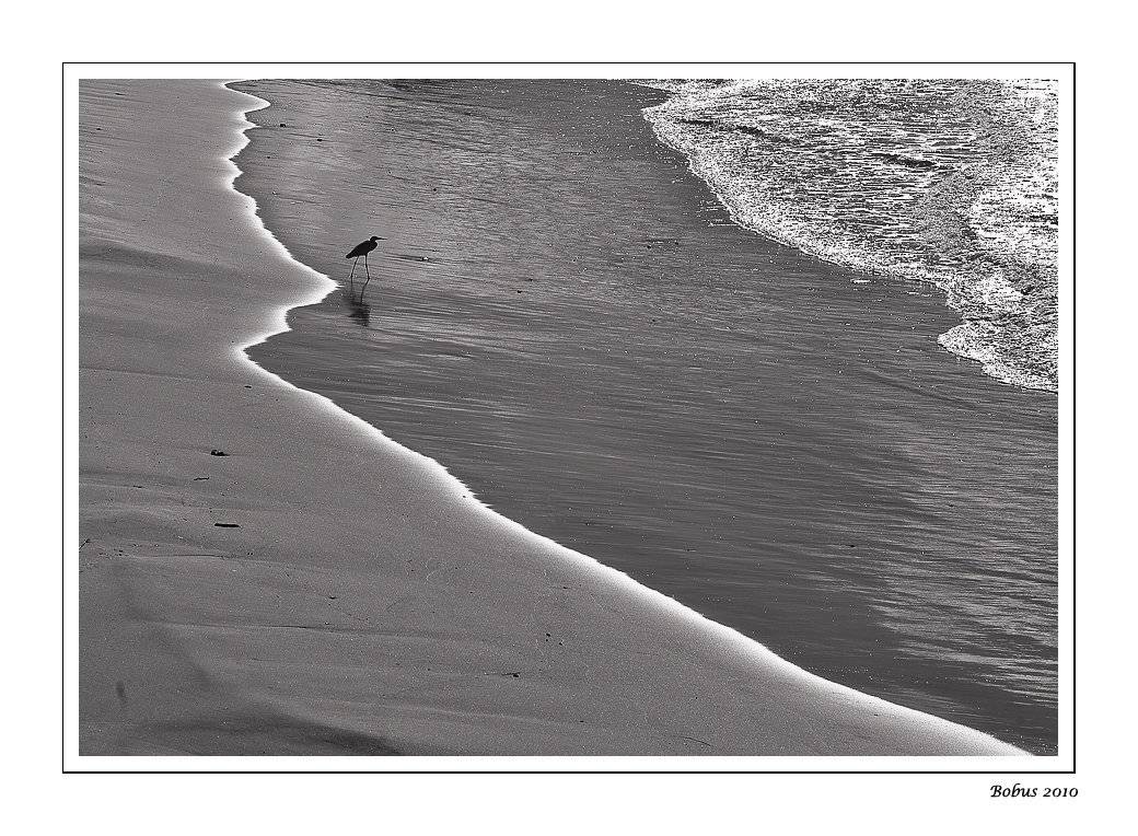 средиземноморский берег. Автор: Bobus , Bobus