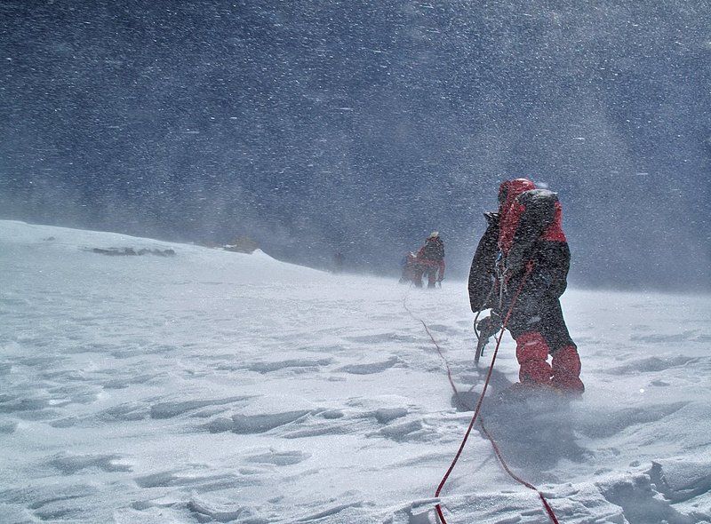 Нежданные гостиphoto preview