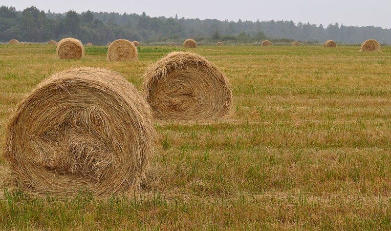 Фотофинишphoto preview