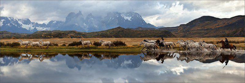 cuernos, del, paine, patagonia, chile ...про гаучо, их лошадок и методах увеличения поголовья скота в рекордно короткие сроки ...photo preview